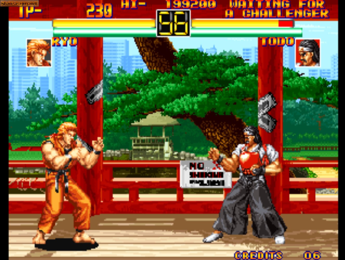 Art of Fighting