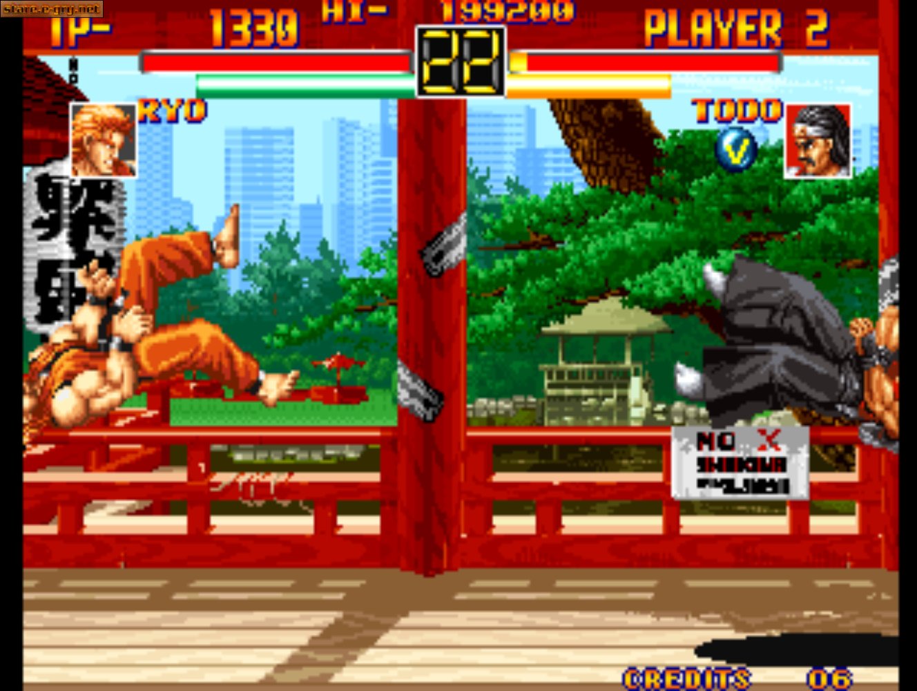 Art of Fighting