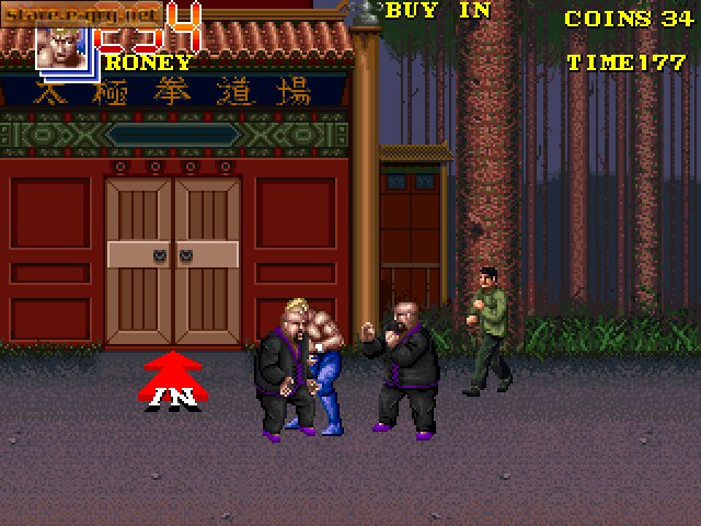 Double Dragon 3: The Rosetta Stone
