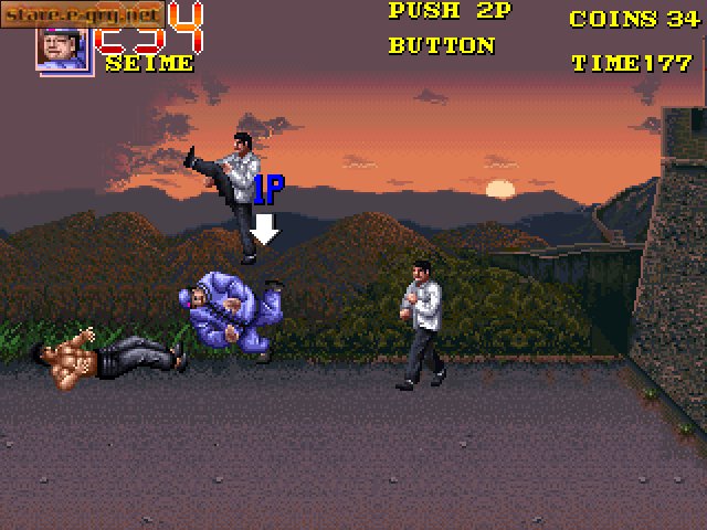 Double Dragon 3: The Rosetta Stone
