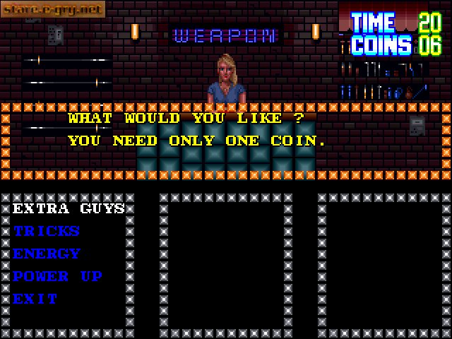 Double Dragon 3: The Rosetta Stone