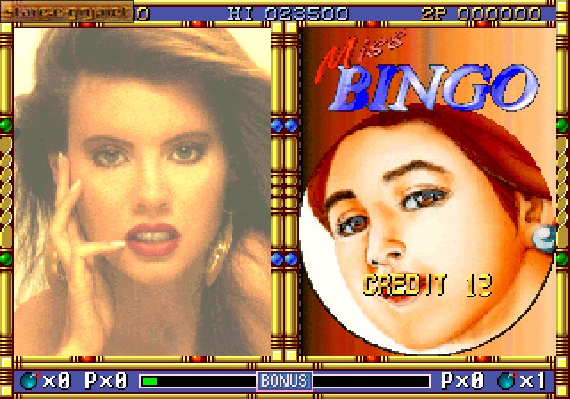 Miss Bingo