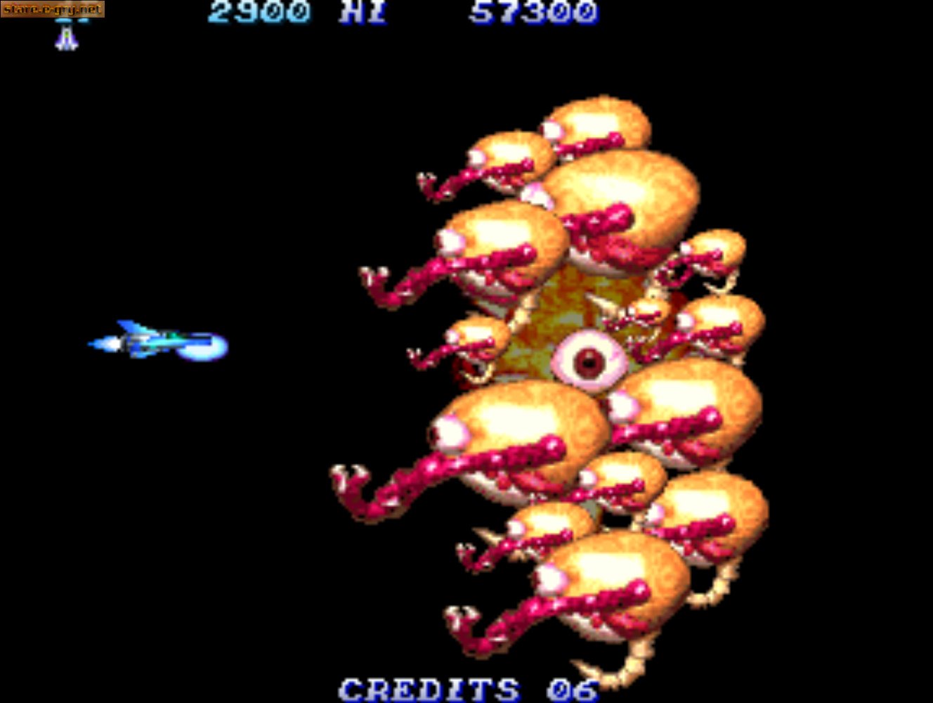 Salamander 2