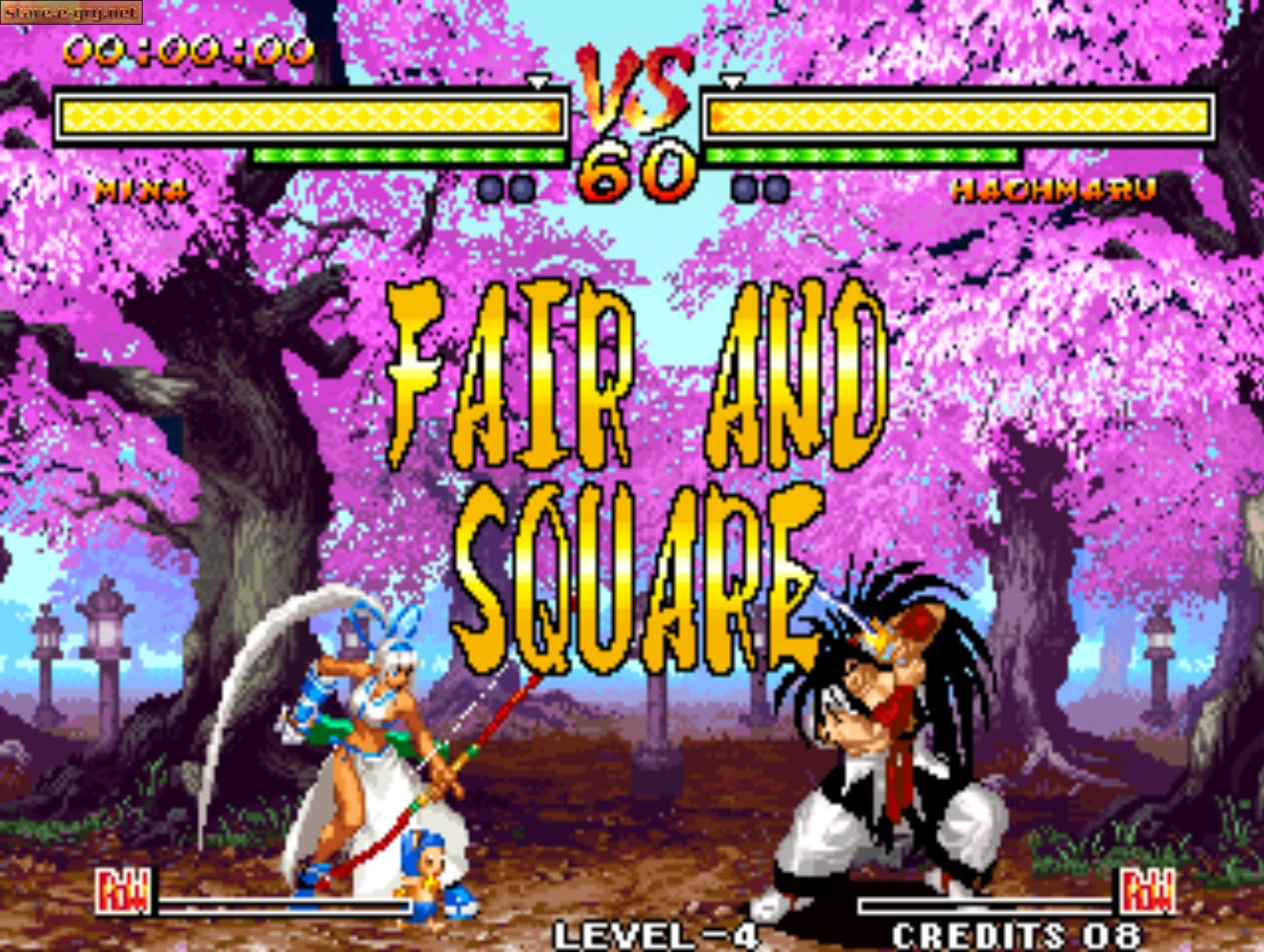 Samurai Shodown V