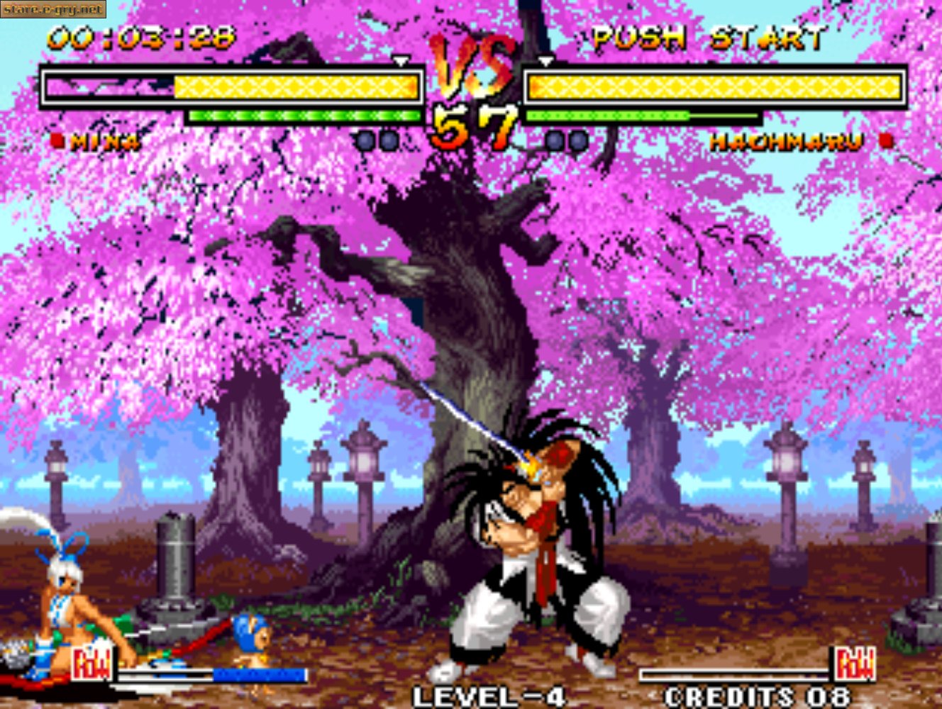 Samurai Shodown V