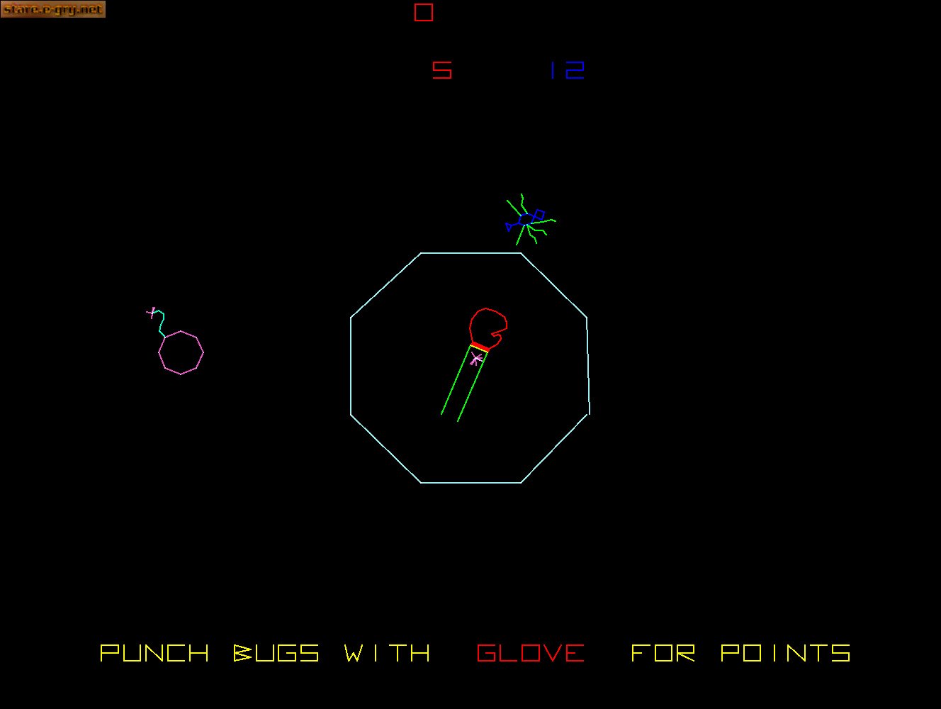 Boxing Bugs