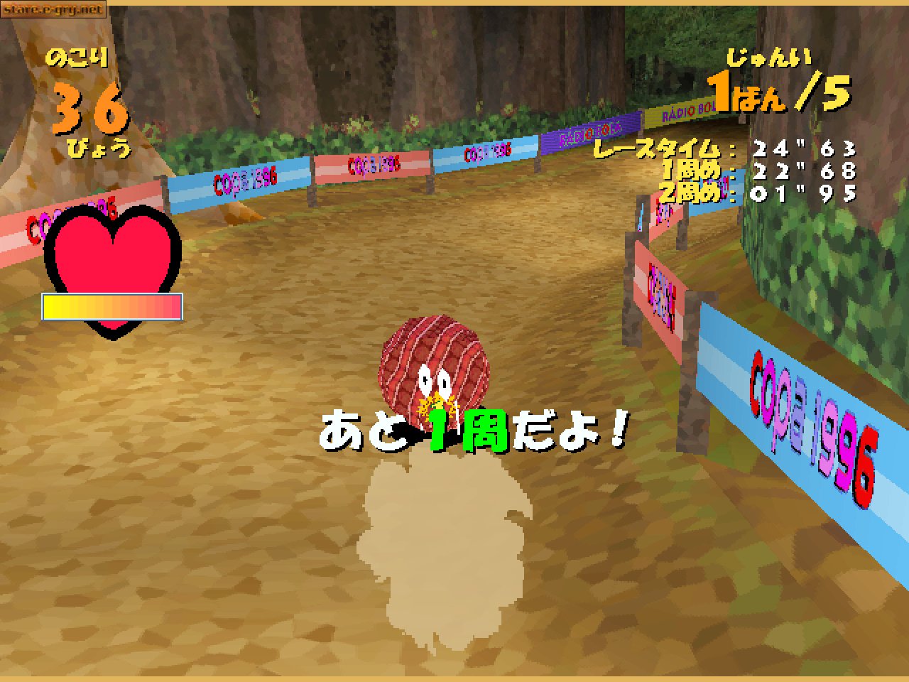Armadillo Racing