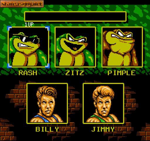 Battletoads & Double Dragon: The Ultimate Team