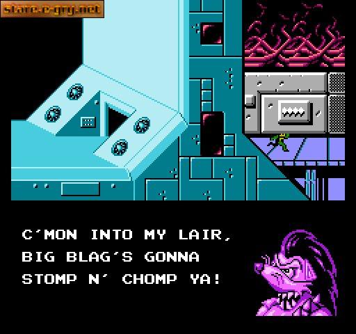 Battletoads & Double Dragon: The Ultimate Team