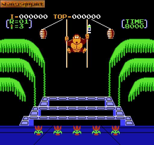 Donkey Kong 3