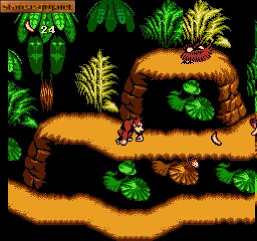 Donkey Kong Country 4