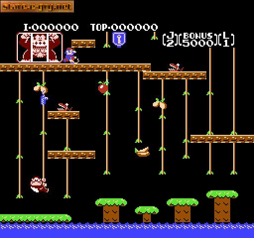 Donkey Kong Jr.