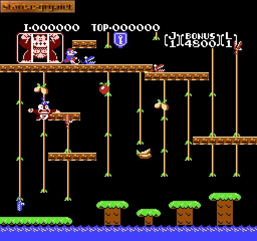Donkey Kong Jr. + Jr. Lesson