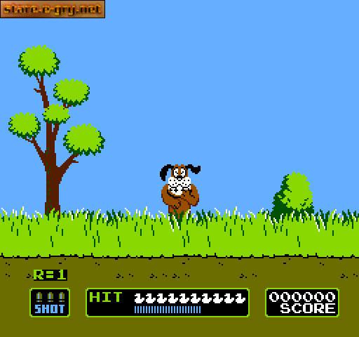 Duck Hunt