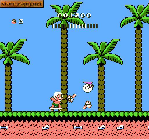 Hudson's Adventure Island II