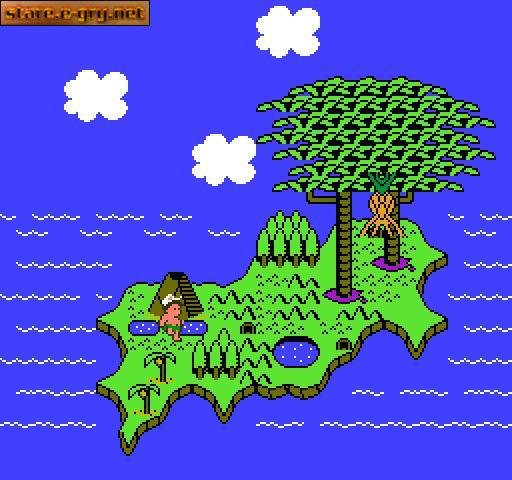 Hudson's Adventure Island II