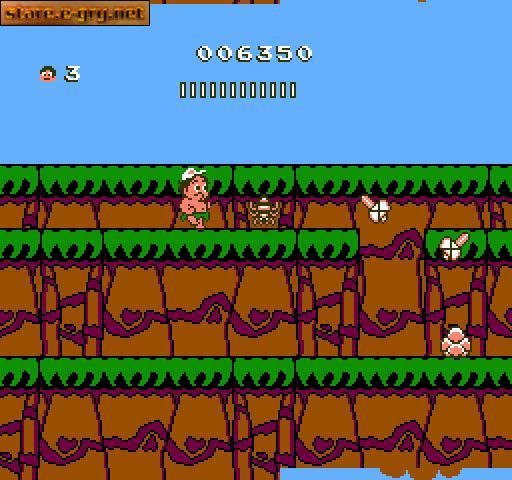 Hudson's Adventure Island II