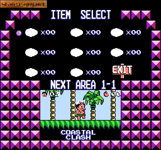 Hudson's Adventure Island III