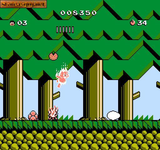 Hudson's Adventure Island III
