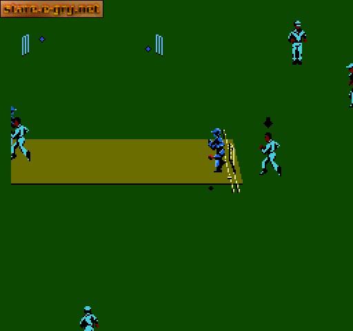 International Cricket