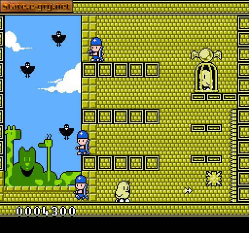 Kiwi Kraze: A Bird-Brained Adventure!