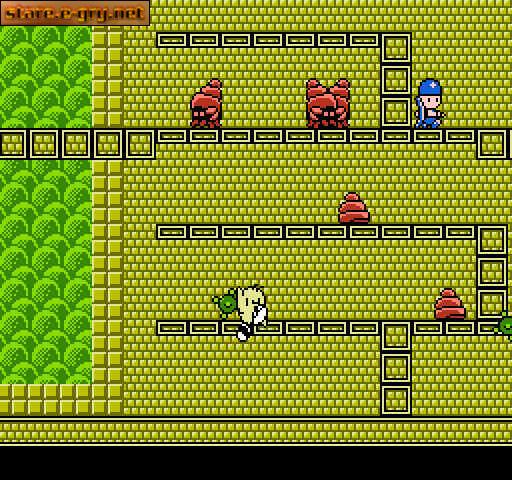 Kiwi Kraze: A Bird-Brained Adventure!