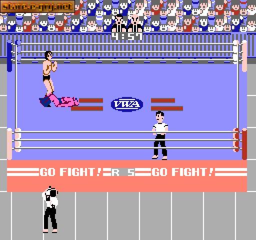 Pro Wrestling