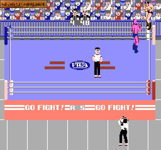Pro Wrestling