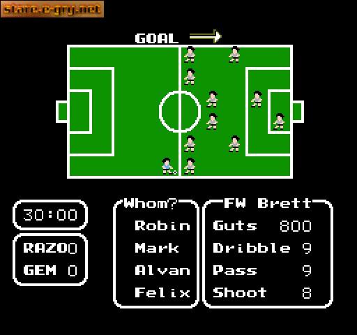 Tecmo Cup: Soccer Game