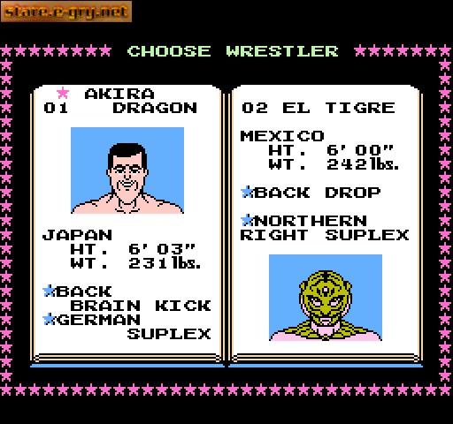 Tecmo World Wrestling