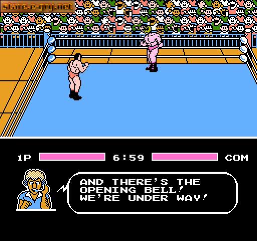 Tecmo World Wrestling