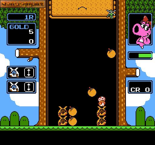 Wario's Woods
