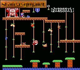 Donkey Kong Classics