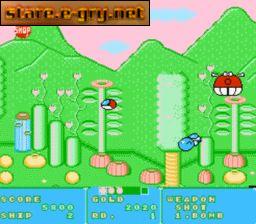 Fantasy Zone