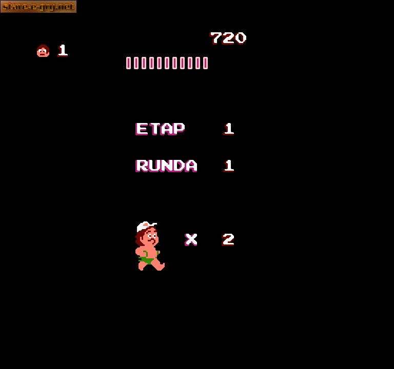 Hudson's Adventure Island