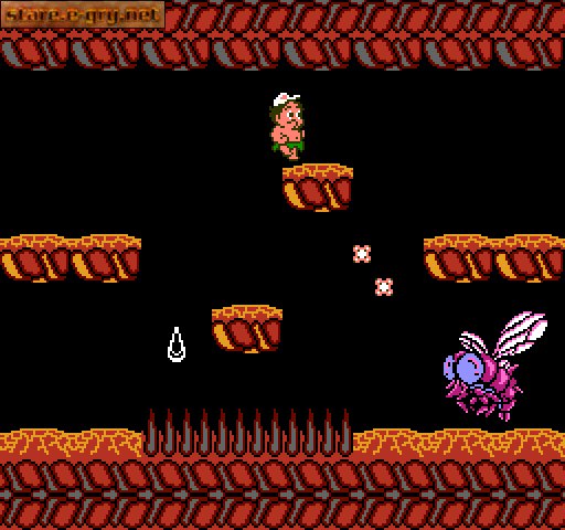 Hudson's Adventure Island II