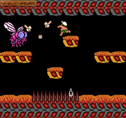 Hudson's Adventure Island II