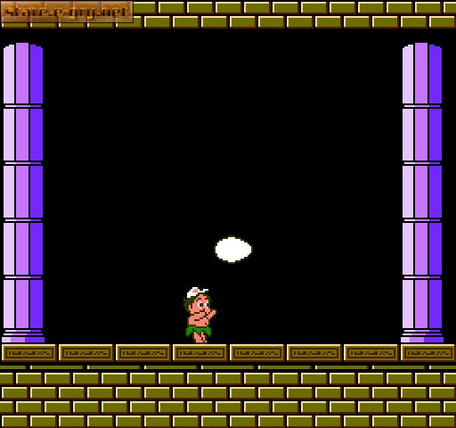 Hudson's Adventure Island II