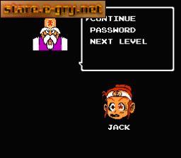 Little Ninja Brothers