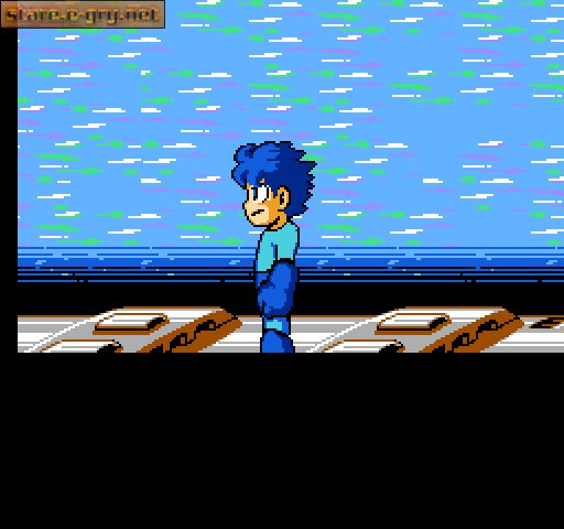 Megaman IV