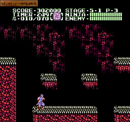 Ninja Gaiden II: The Dark Sword of Chaos