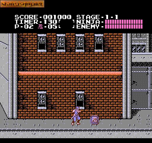 Ninja Gaiden
