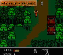 Snake's Revenge