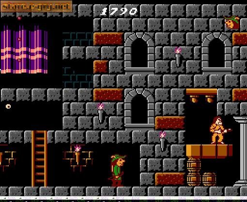 Super Robin Hood