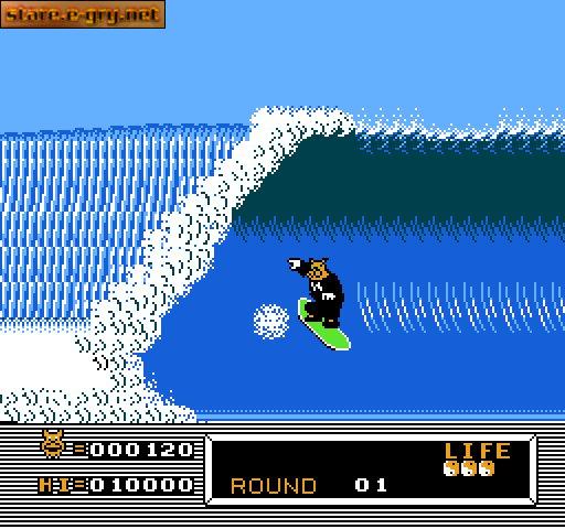 T&C Surf Design