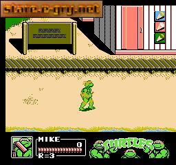 Teenage Mutant Ninja Turtles III: The Manhattan Project