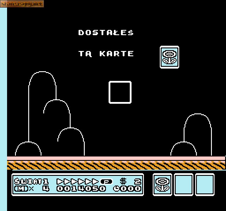 Super Mario Bros. 3 (PL)