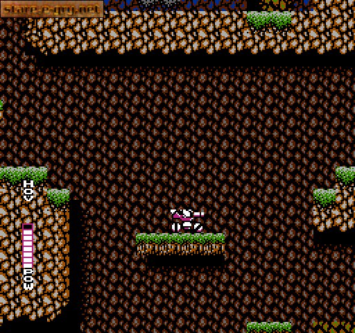 Blaster Master