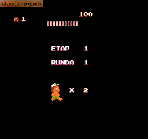 Hudson's Adventure Island (PL)