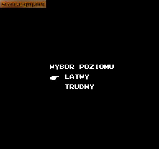 Road Fighter (PL)